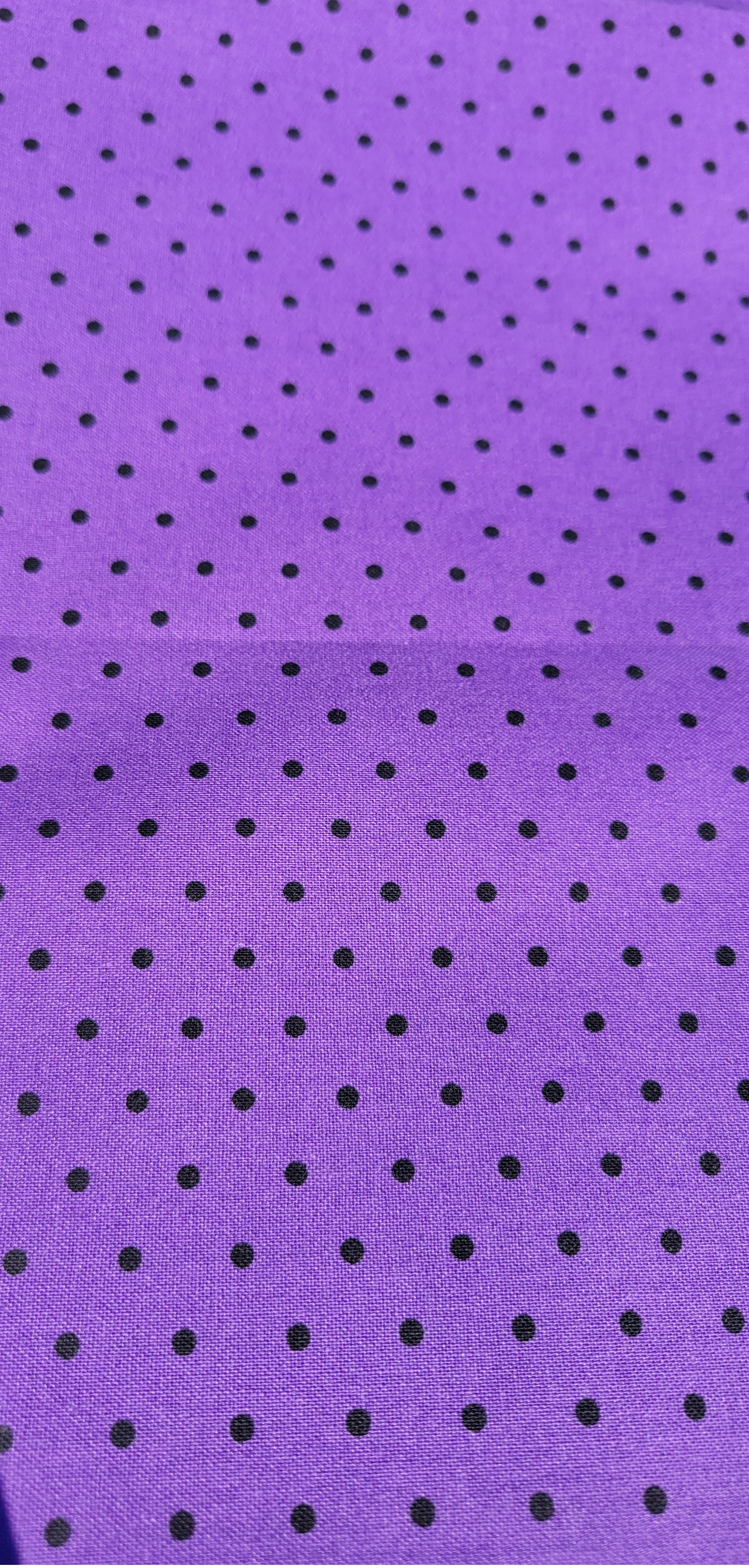 Small Black dots on Purple Fabric